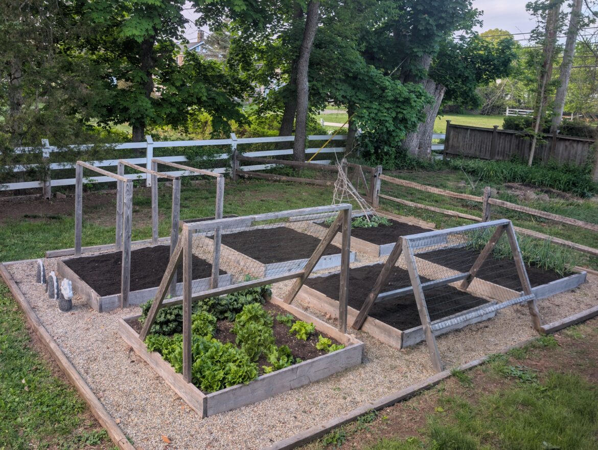So ready to plant!