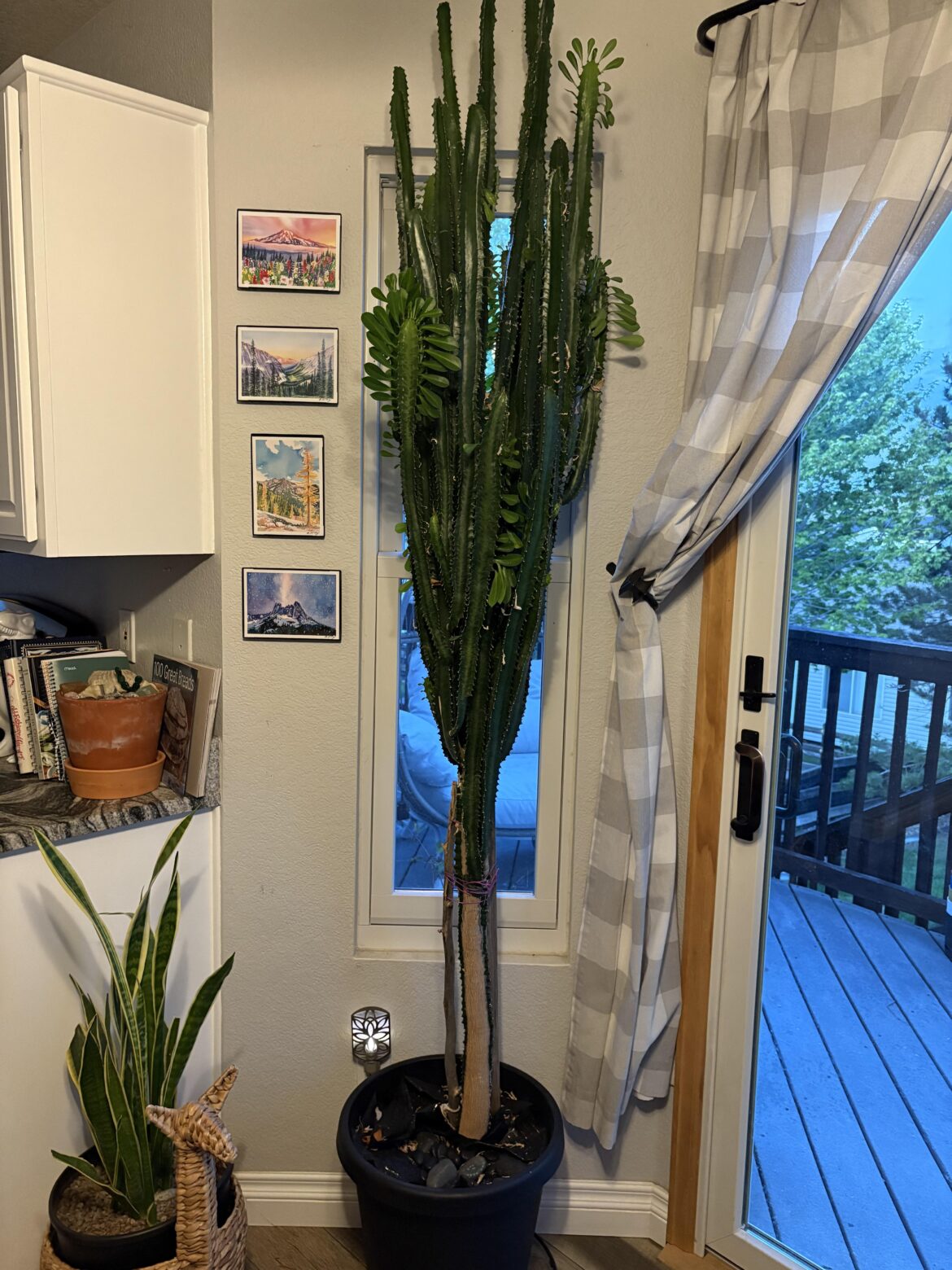 Need some help!