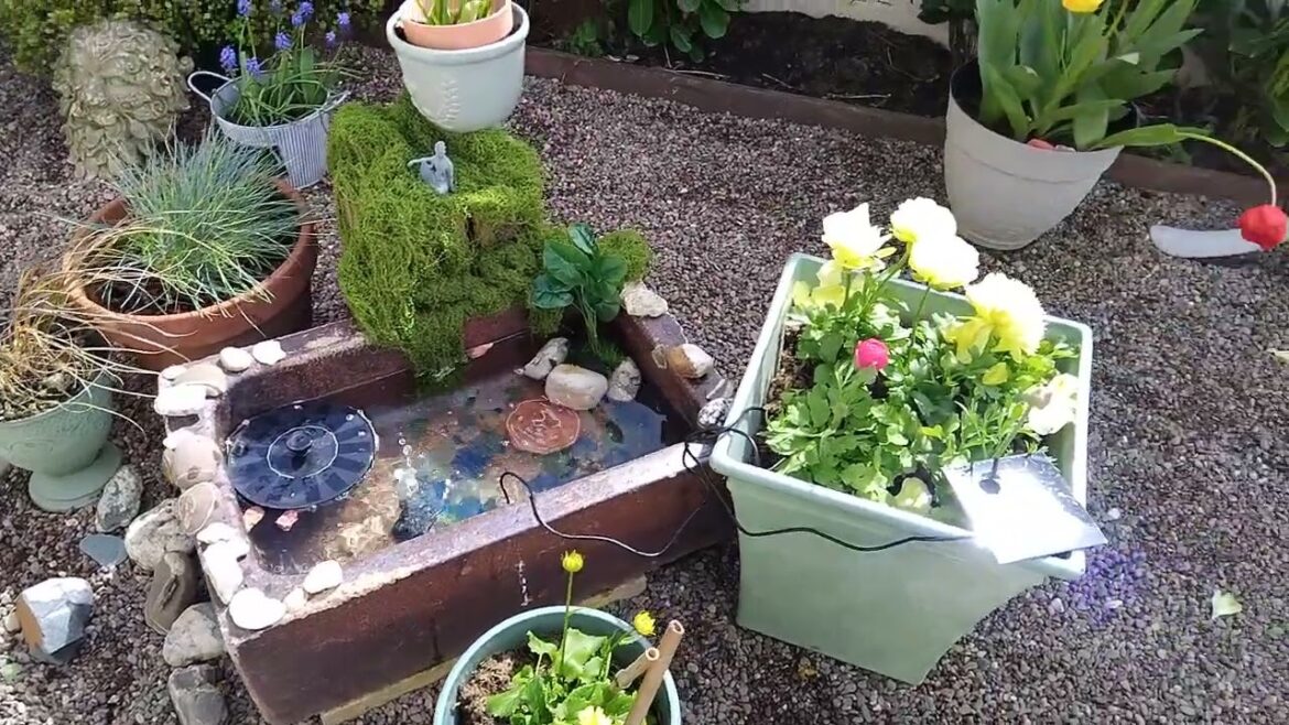 Container garden # small gardens # garden # spring garden