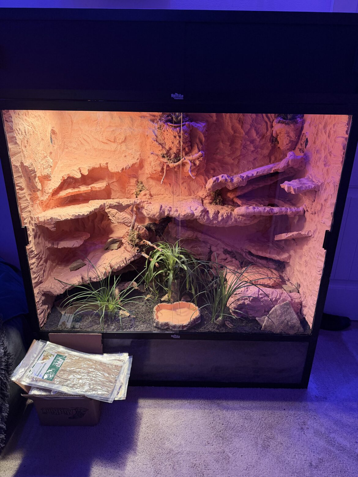 Plant suggestions