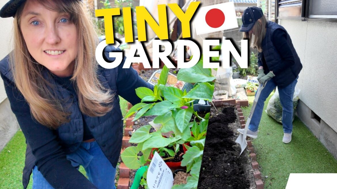 My Japanese Garden Was Completely Overtaken | Massive Cleanup & Restoration My Japanese Garden Was Completely Overtaken | Massive Cleanup & Restoration