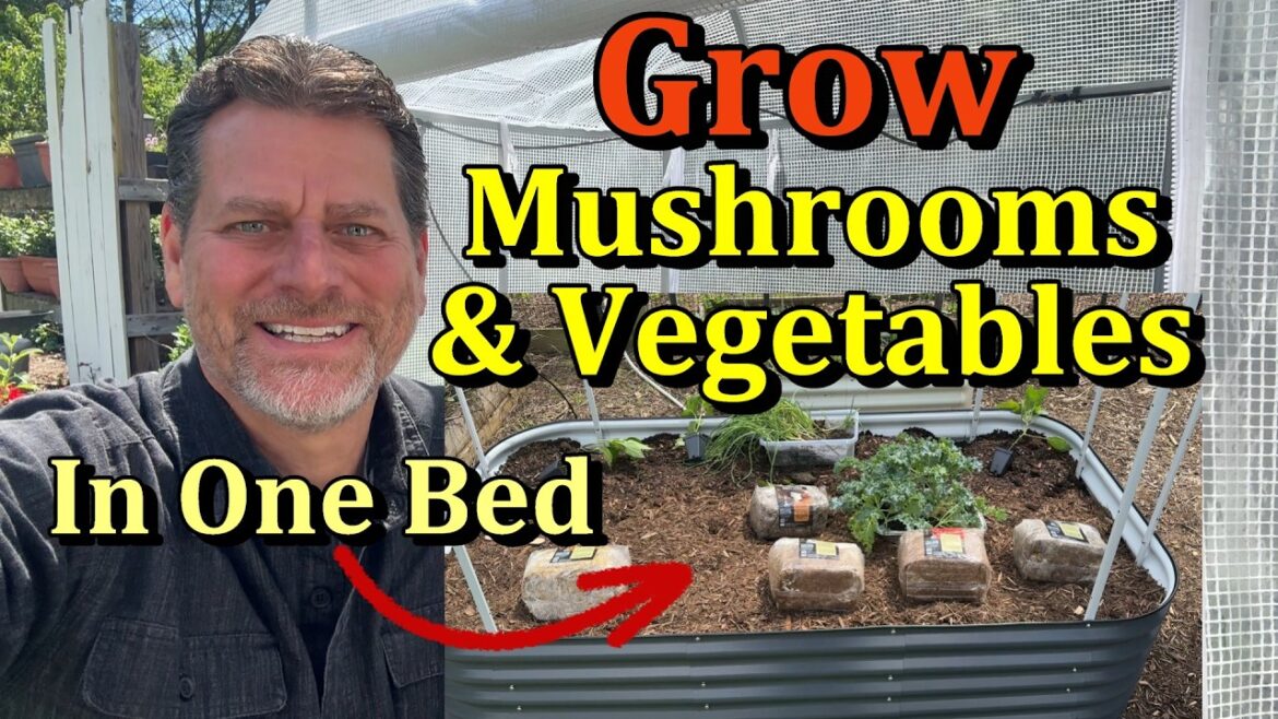 Gary Pilarchik: How to Set Up and Grow Mushrooms & Vegetables in One Garden Bed (NorthSpore’s Mycosphere) How to Set Up and Grow Mushrooms & Vegetables in One Garden Bed (NorthSpore's Mycosphere)