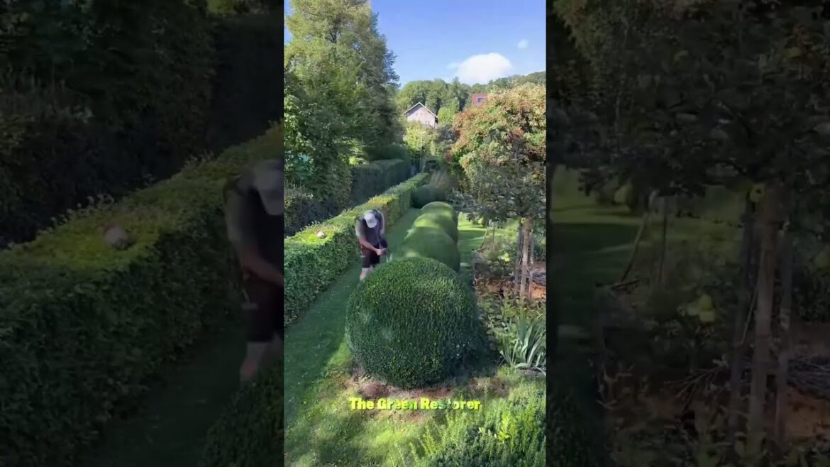 Blowing | Pressure Washing | Landscaping | Cutting | Edging #shorts #satisfying #gardening Blowing | Pressure Washing | Landscaping | Cutting | Edging #shorts #satisfying #gardening