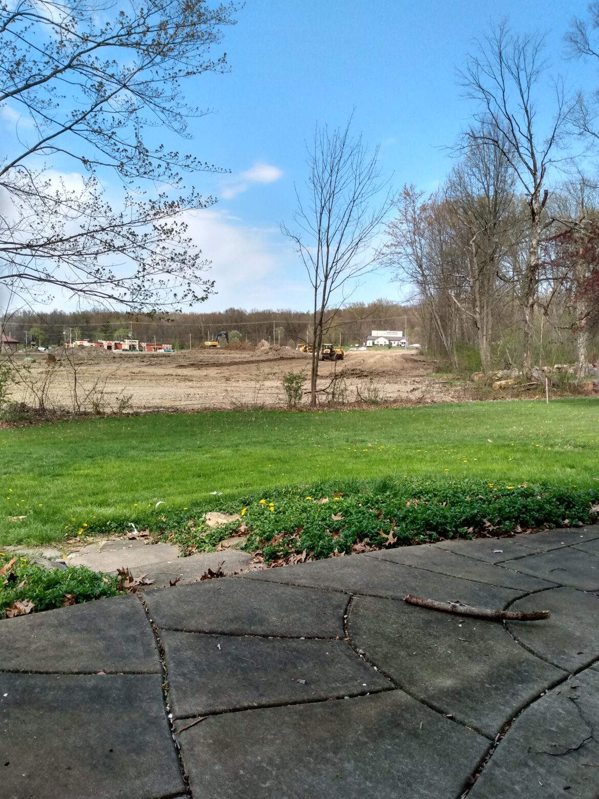 What once was woods is now this. Considering Green Giant evergreens to block? (Kia dealership is being built 😡)