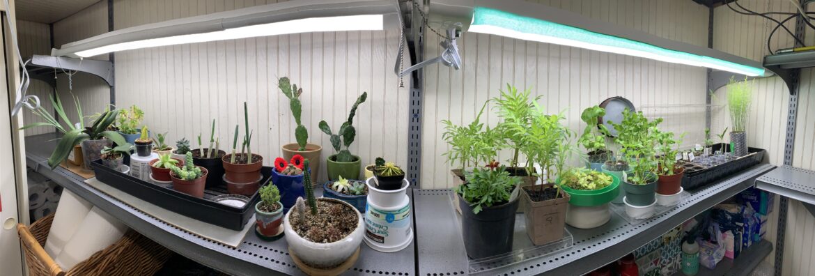 I have a grow shelf in my basement and I love it.