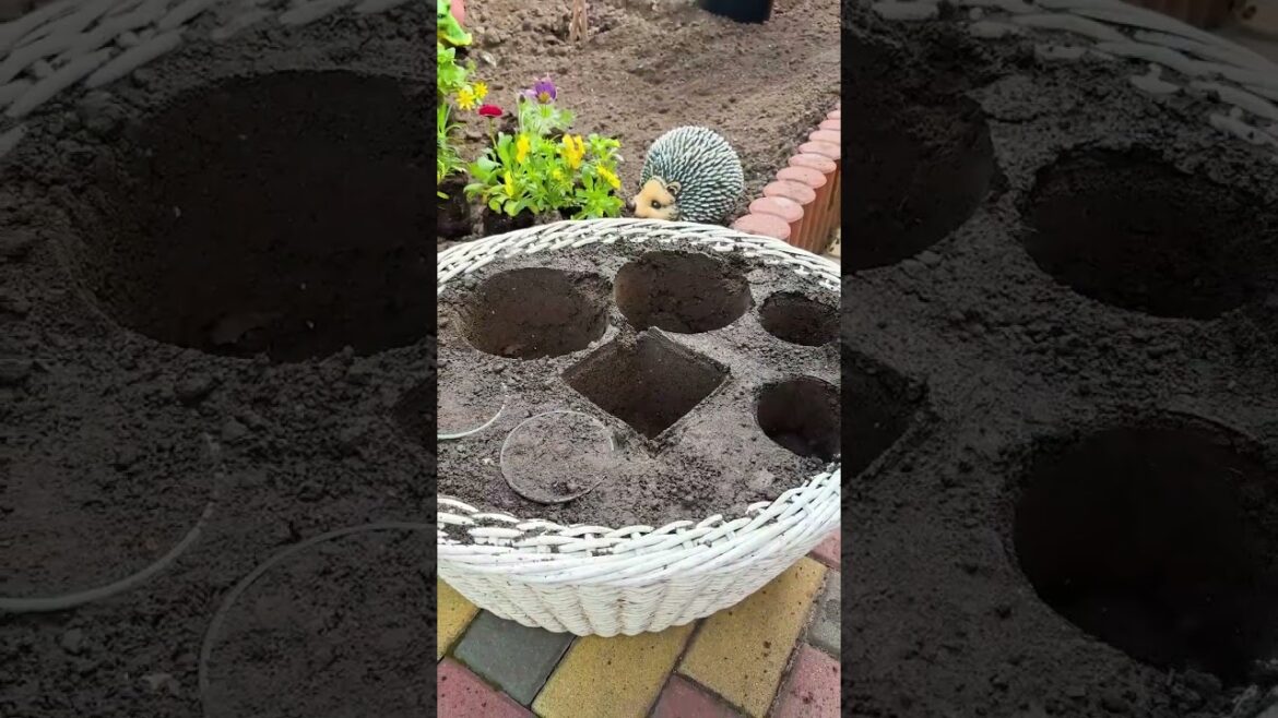 Repot Without Mess