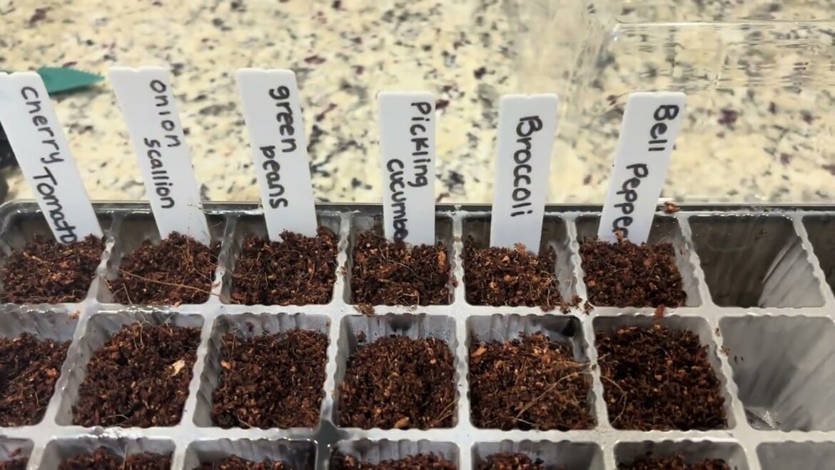These 2 Gardening Products Made It SO Easy