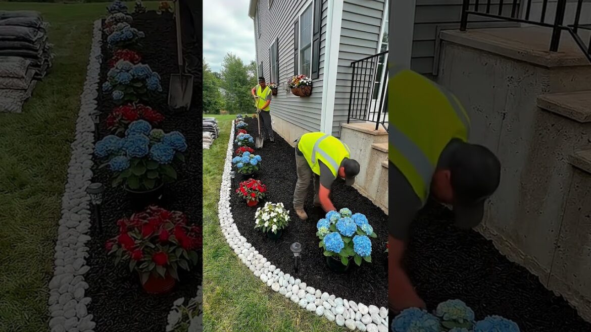 Front Yard Garden Bed Makeover | Satisfying Timelapse 🌿 Front Yard Garden Bed Makeover | Satisfying Timelapse 🌿