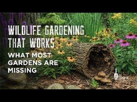Natural Habitats and Wildlife Gardening: What Most Gardens are Missing Natural Habitats and Wildlife Gardening: What Most Gardens are Missing
