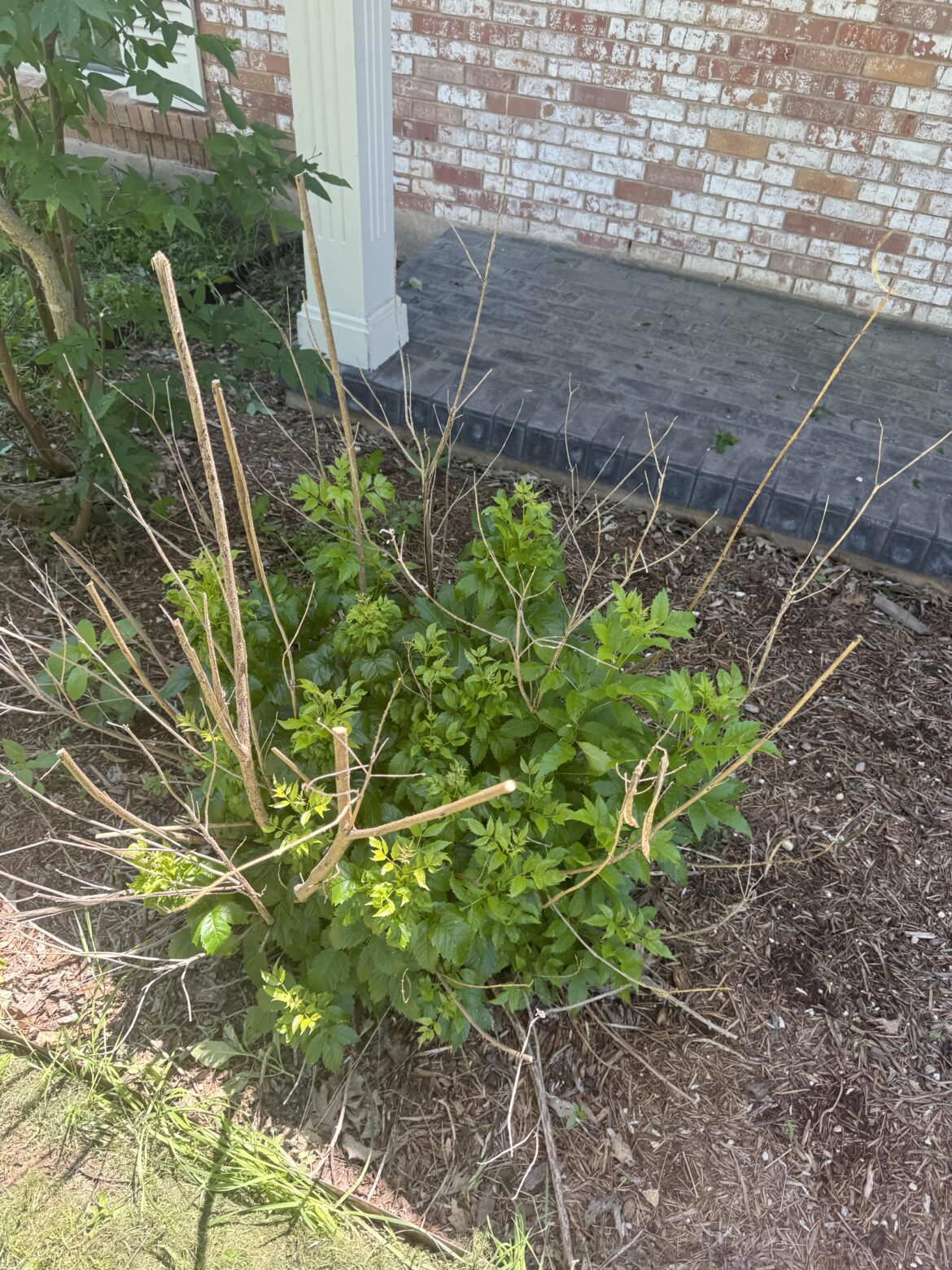 What to do w this