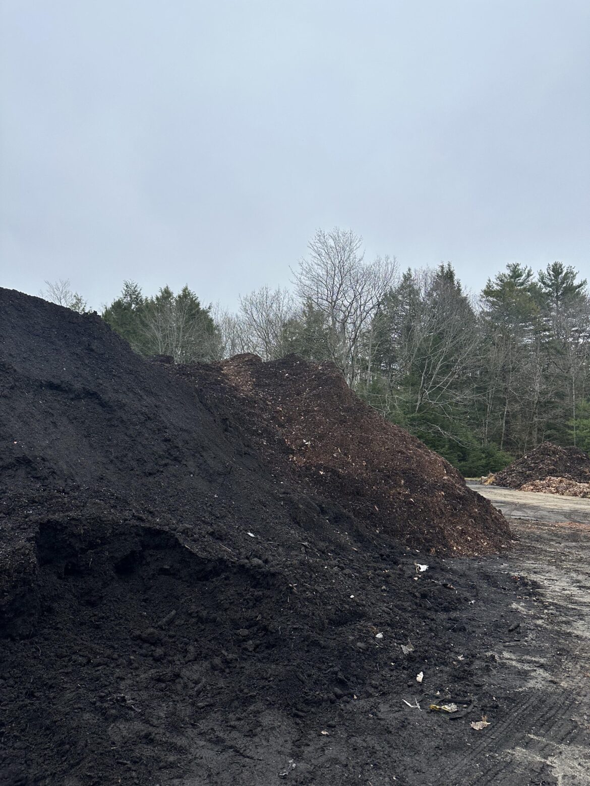Found out my town has a free compost!