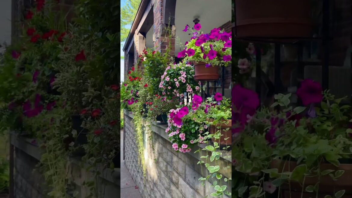 RailScapes Floating Plant Hangers 👉PlantTras.com #gardening #gardeningtips