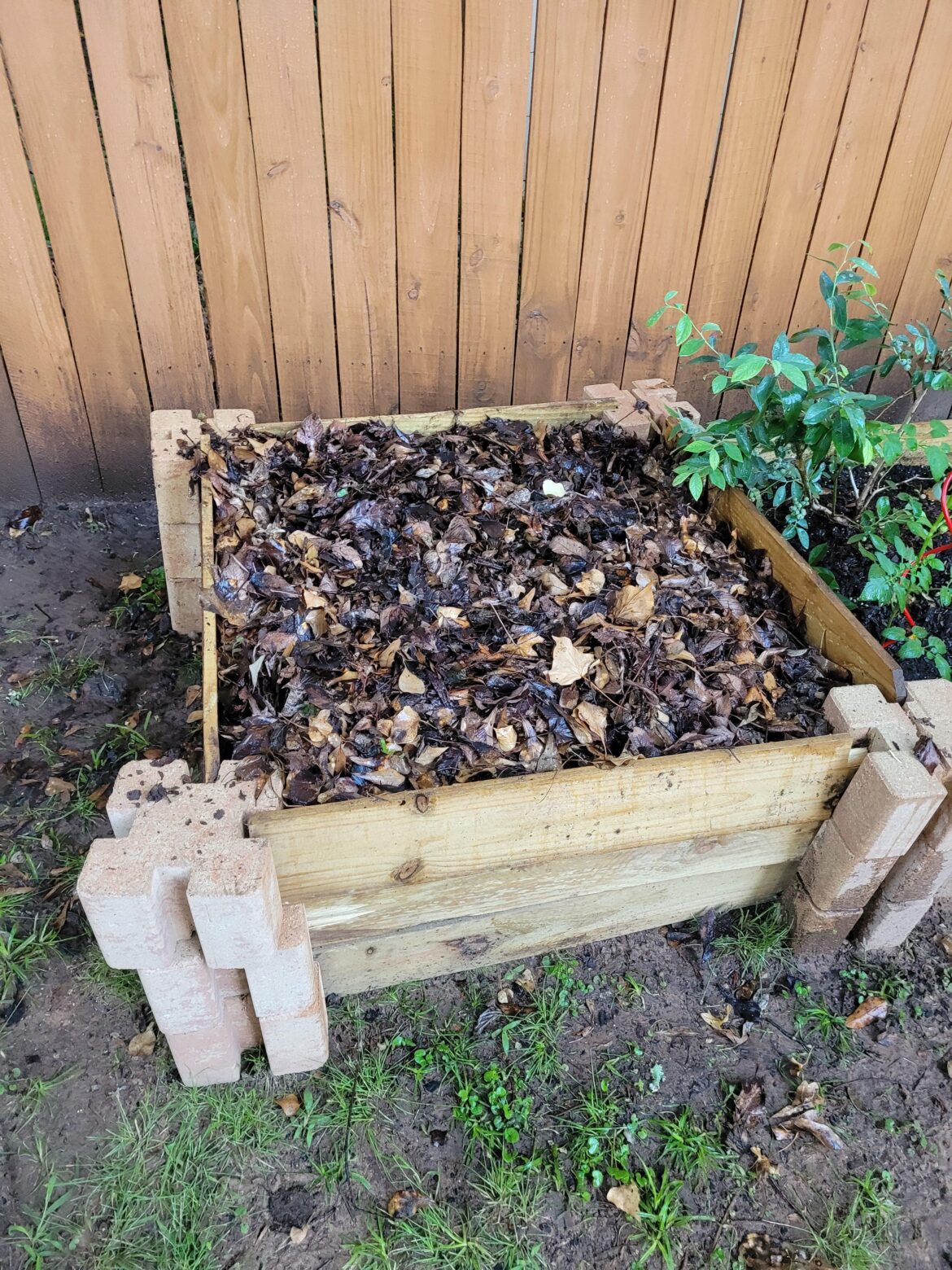 Update: how do I get my compost pile to heat up?