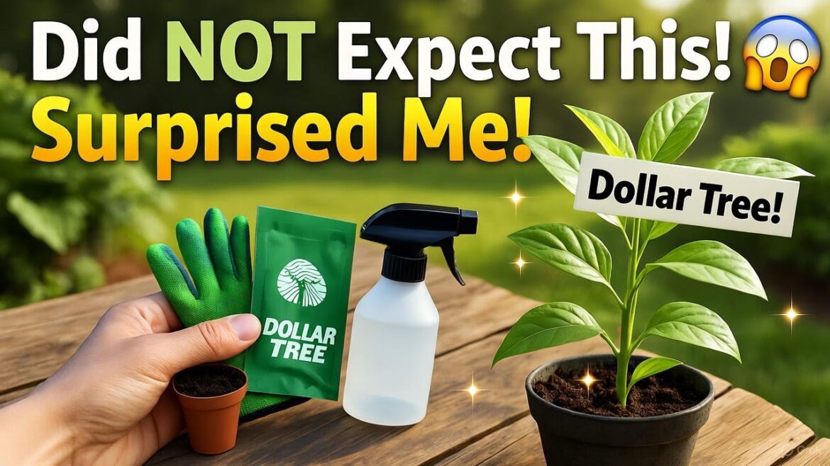I Tried Dollar Tree Garden Supplies — Here’s What Surprised Me!