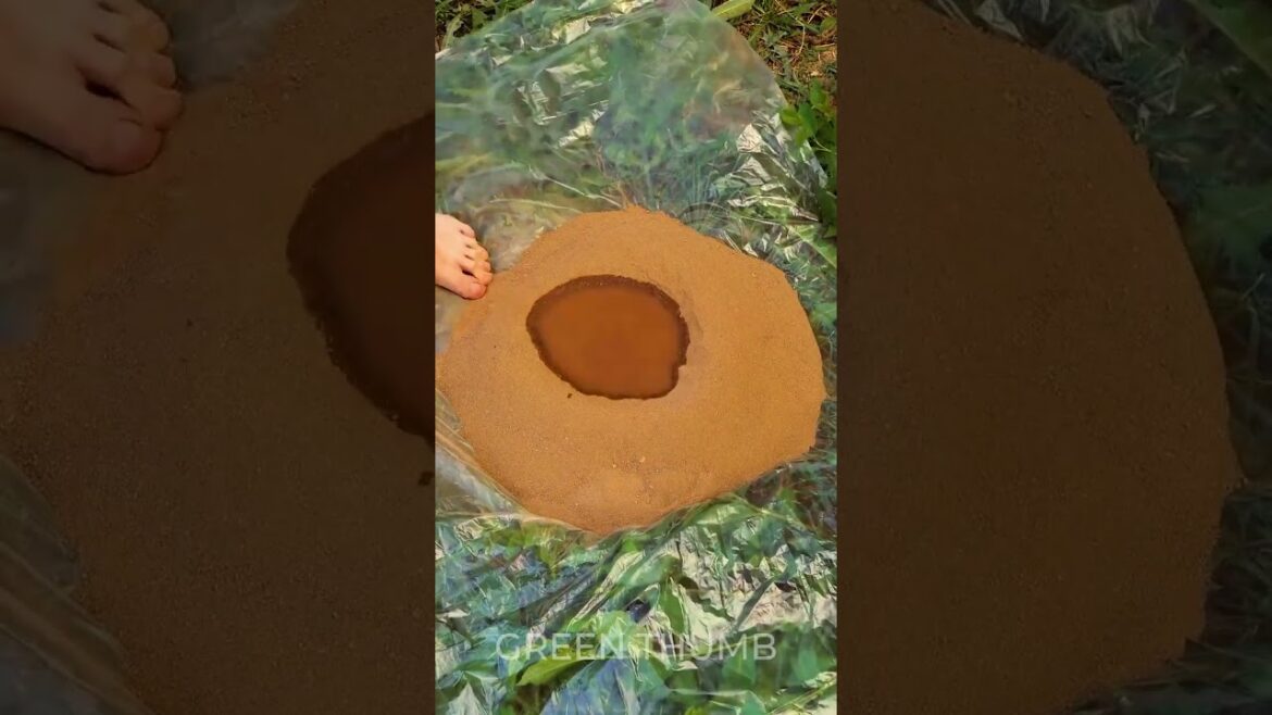 Boost Your Backyard: DIY oven made out of clay for outdoor cooking!