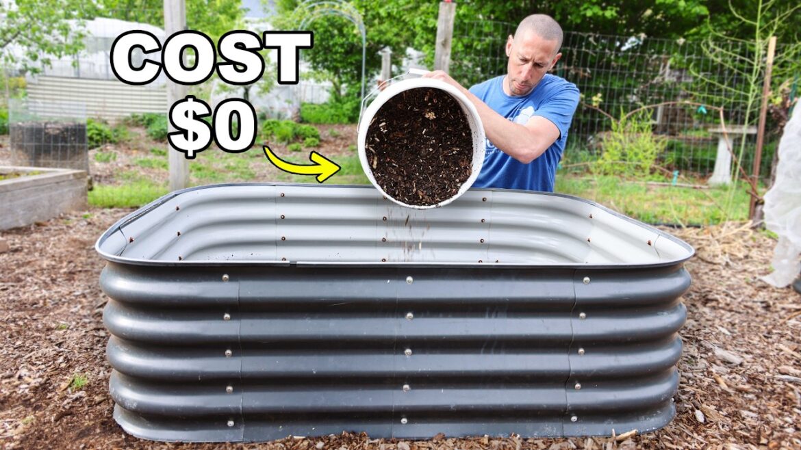 James Prigioni: How to FILL Raised Garden Beds CHEAP and EASY How to FILL Raised Garden Beds CHEAP and EASY