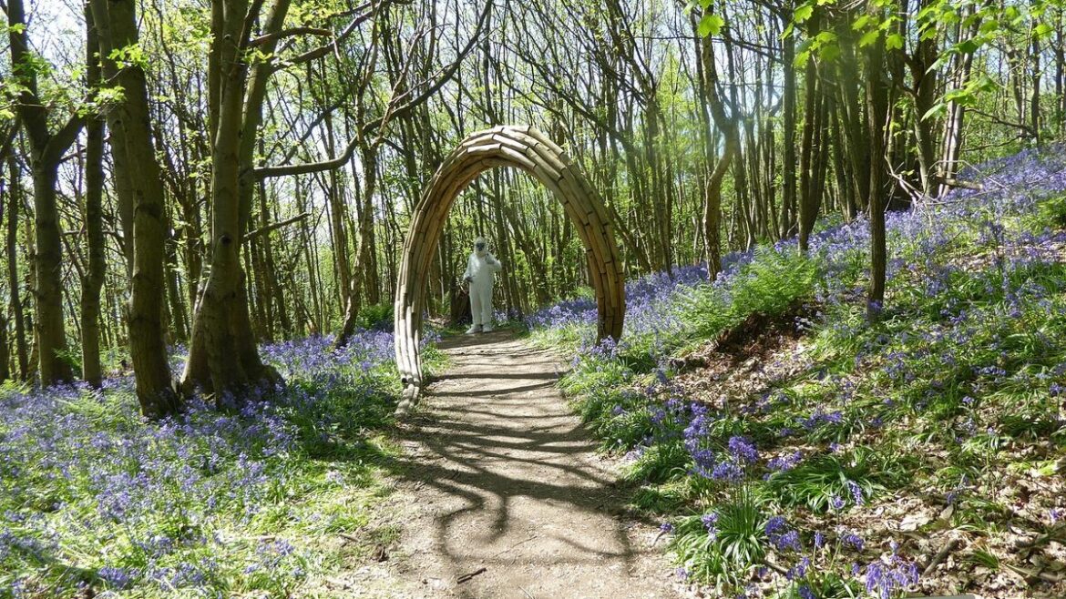 Stunning Kent gardens with bluebells and hedge maze perfect for a bank holiday walk Kent Live