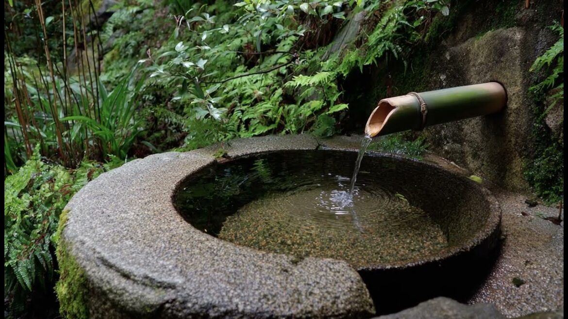 Japanese Garden Design with Water Features to Create Serenity