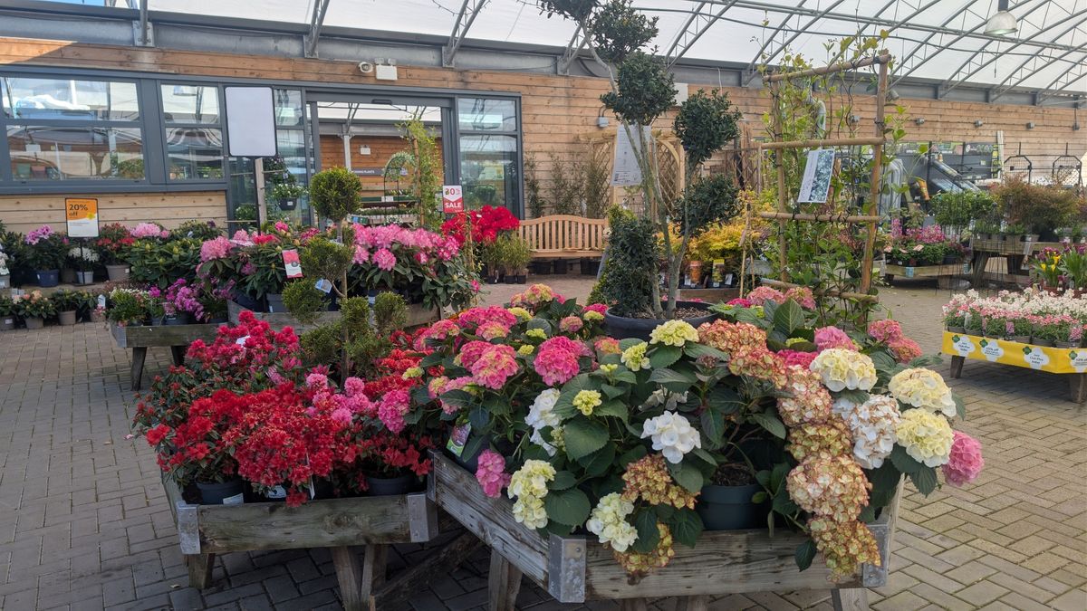 Dobbies in Speke