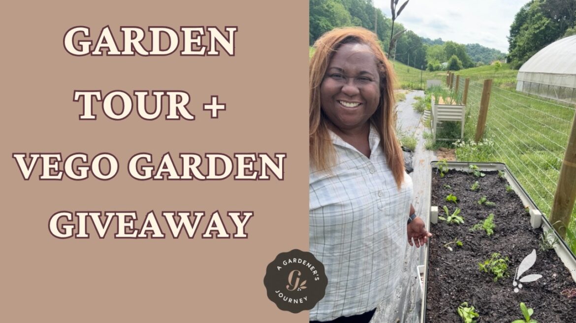 Garden Tour + Vego Garden Giveway Garden Tour + Vego Garden Giveway
