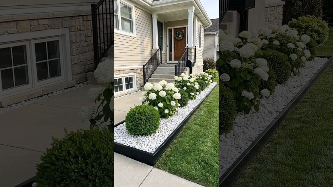 Make Your Neighbors Jealous: Epic Front Yard Garden Bed Makeover in Under 30 Seconds