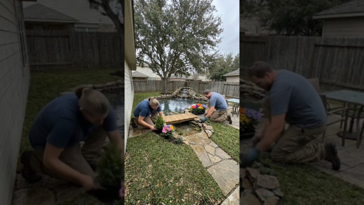 Small Backyard Transformation: Rock Waterfall & Goldfish Pond Tour Small Backyard Transformation: Rock Waterfall & Goldfish Pond Tour