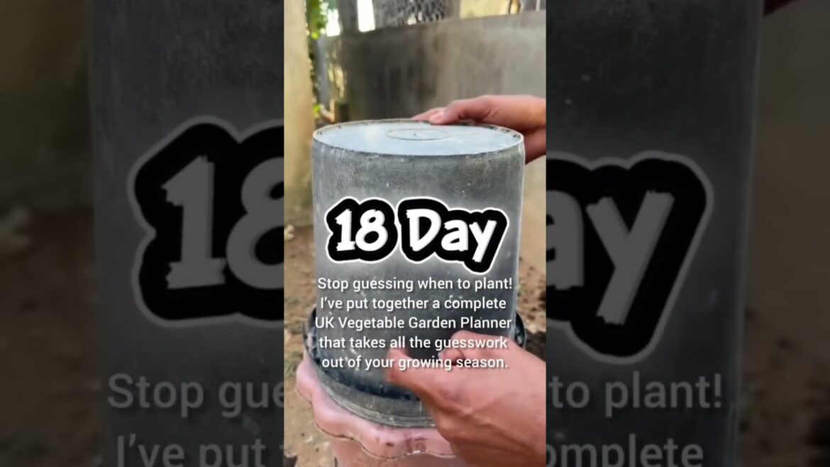 Grow  Vegetables at Home #soilcommander #garden #vegitables #gardening #soilcommander #yt