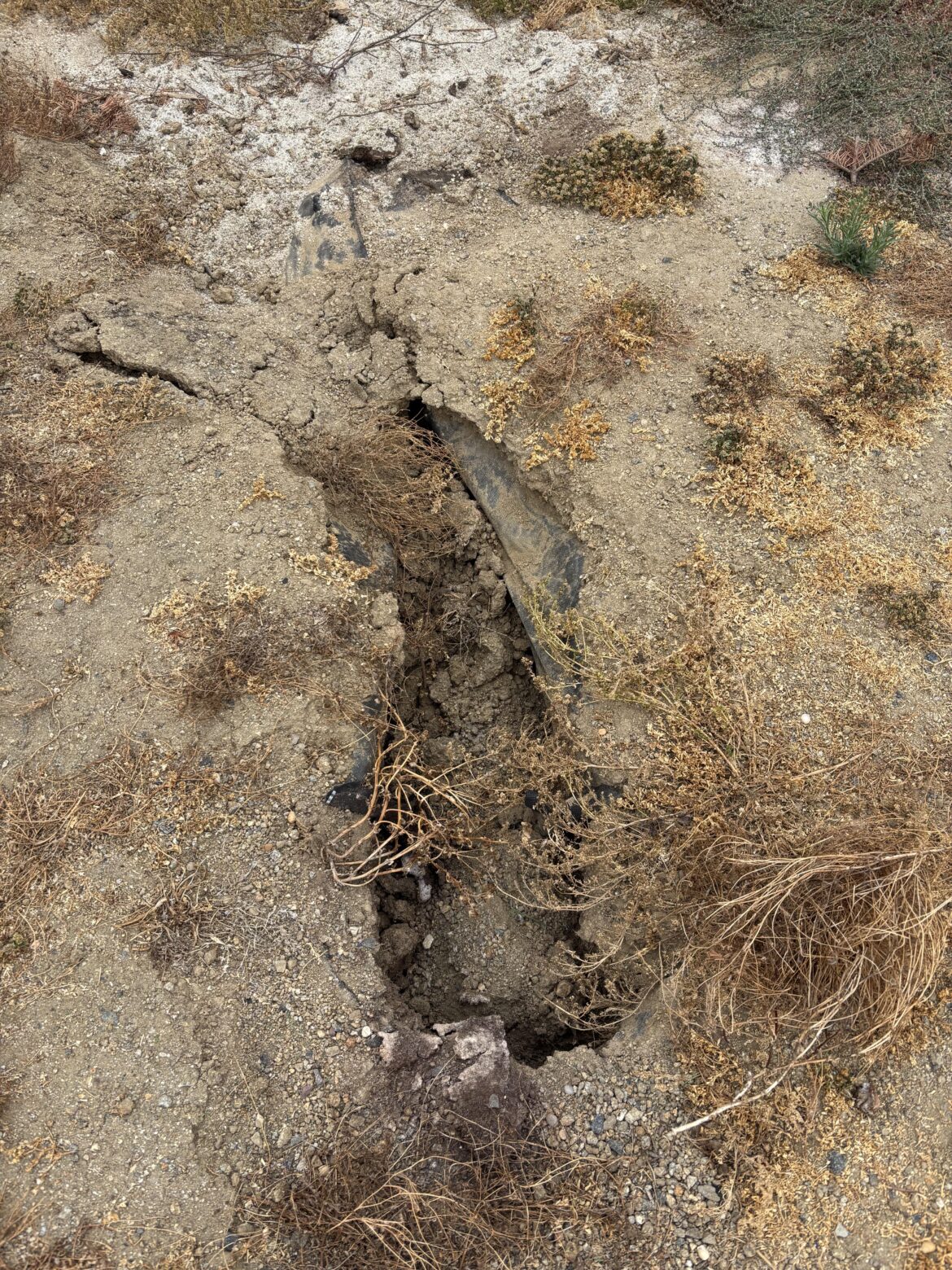 10 years ago I had to remove a large tree because the roots were starting to damage the house foundation. I hired a crew who filled it with DG. Now that the roots have rotted away, the ground is starting to collapse when I walk on it. What is the best way to fill this in? 10 years ago I had to remove a large tree because the roots were starting to damage the house foundation. I hired a crew who filled it with DG. Now that the roots have rotted away, the ground is starting to collapse when I walk on it. What is the best way to fill this in?
