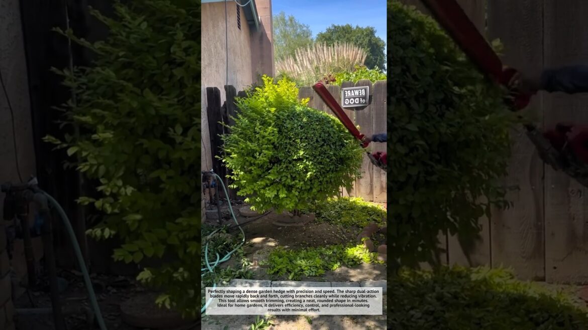 Satisfying Hedge Trimming Machine in Action! Super Fast Cut ✂️