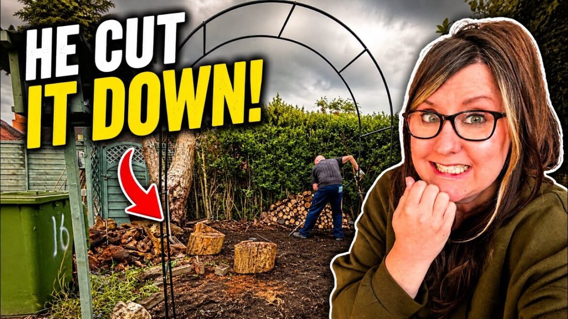 👉 Fred Chopped Down Our Tree 😳 Garden Plans Ruined? 👉 Fred Chopped Down Our Tree 😳 Garden Plans Ruined?