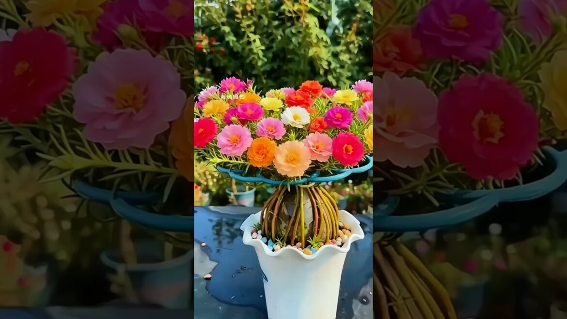 Don’t Throw Plant Cuttings! Try This Genius Growing Trick 🌱” #Gardening #PlantLover