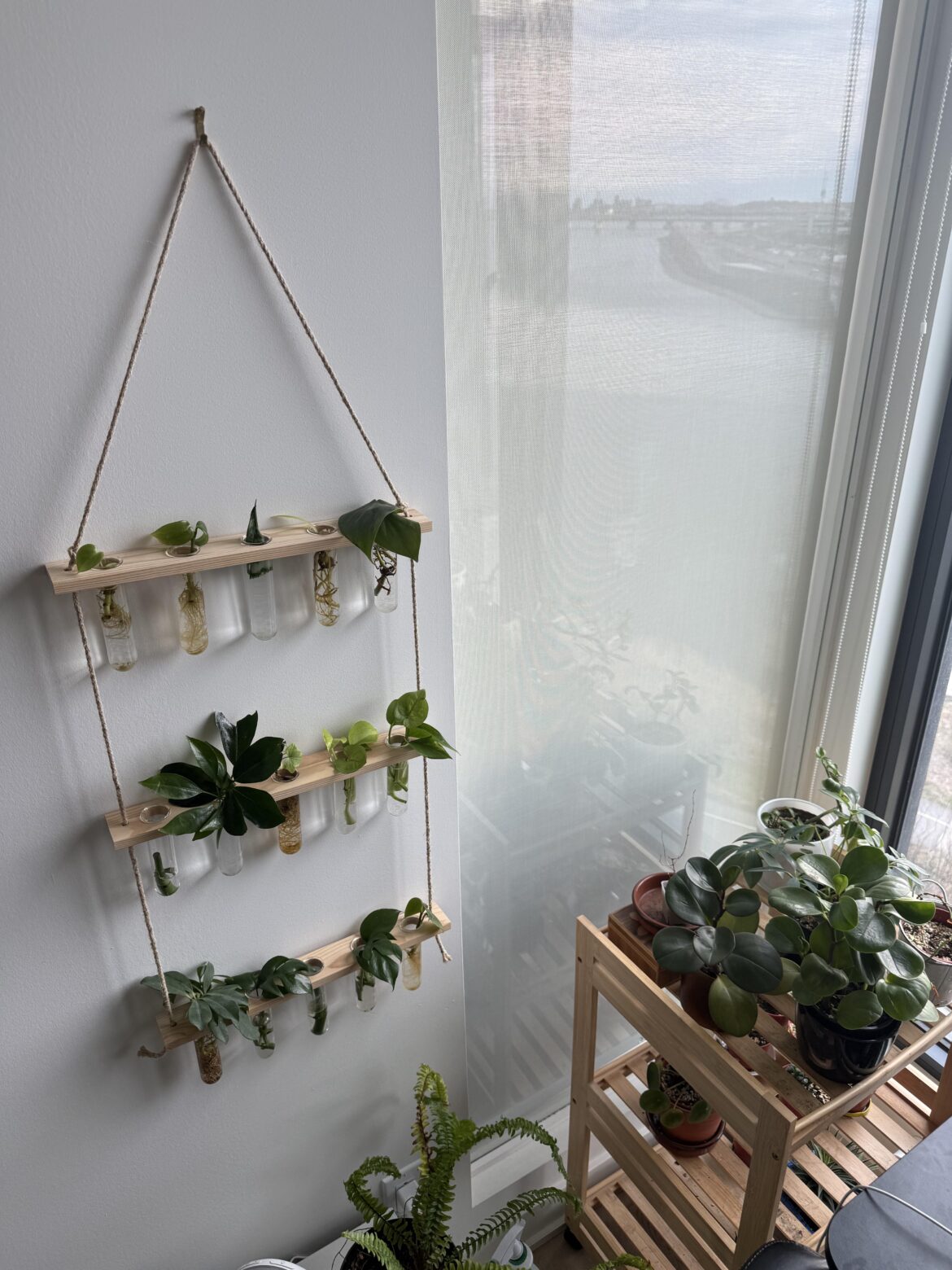 Its Prop Sunday!