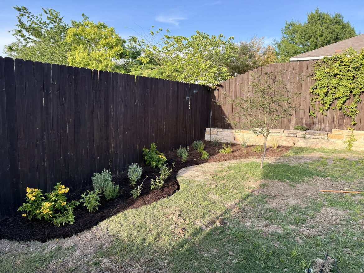 Native backyard transformation