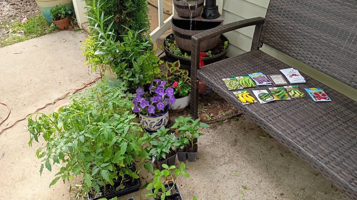My vegetable garden plans, zone 8a, South Carolina.