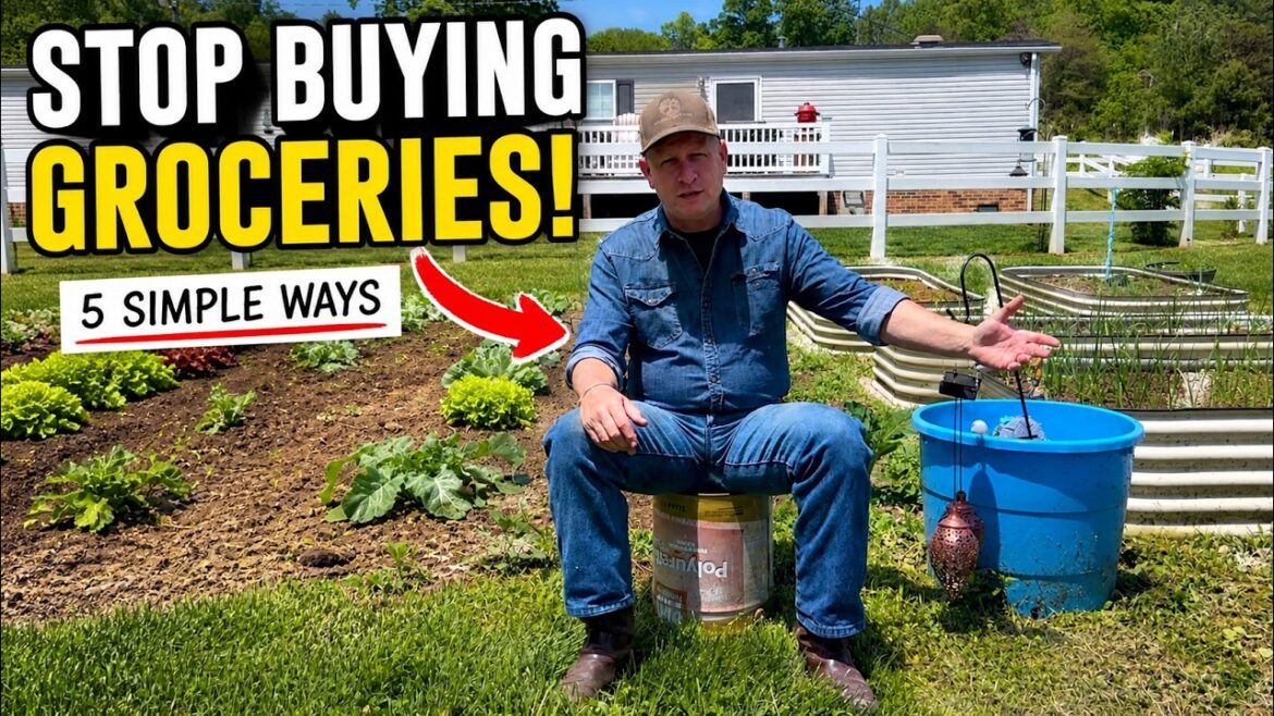 Stop Buying Groceries: 5 Simple Ways to Start Your Own Garden