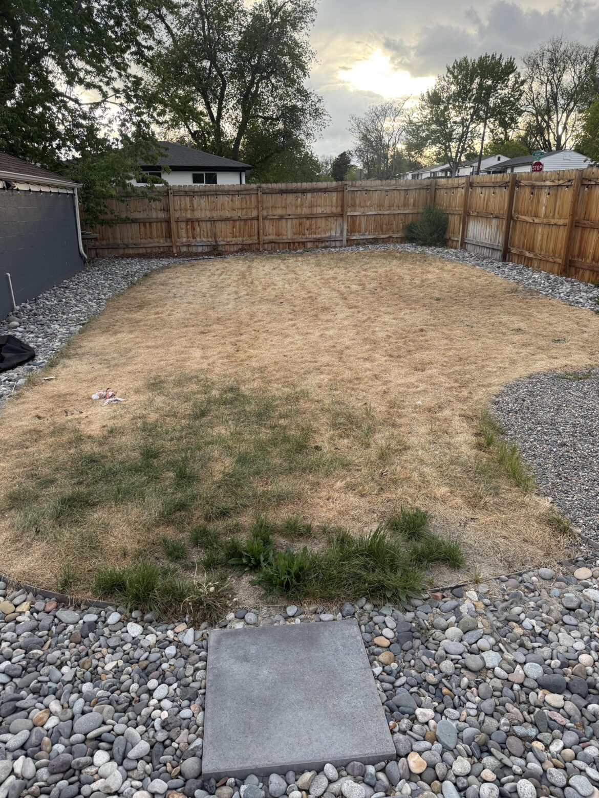 Is my lawn cooked?