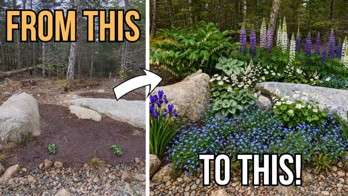 Blue and White Woodland Garden Design | Full Garden Tour Blue and White Woodland Garden Design | Full Garden Tour