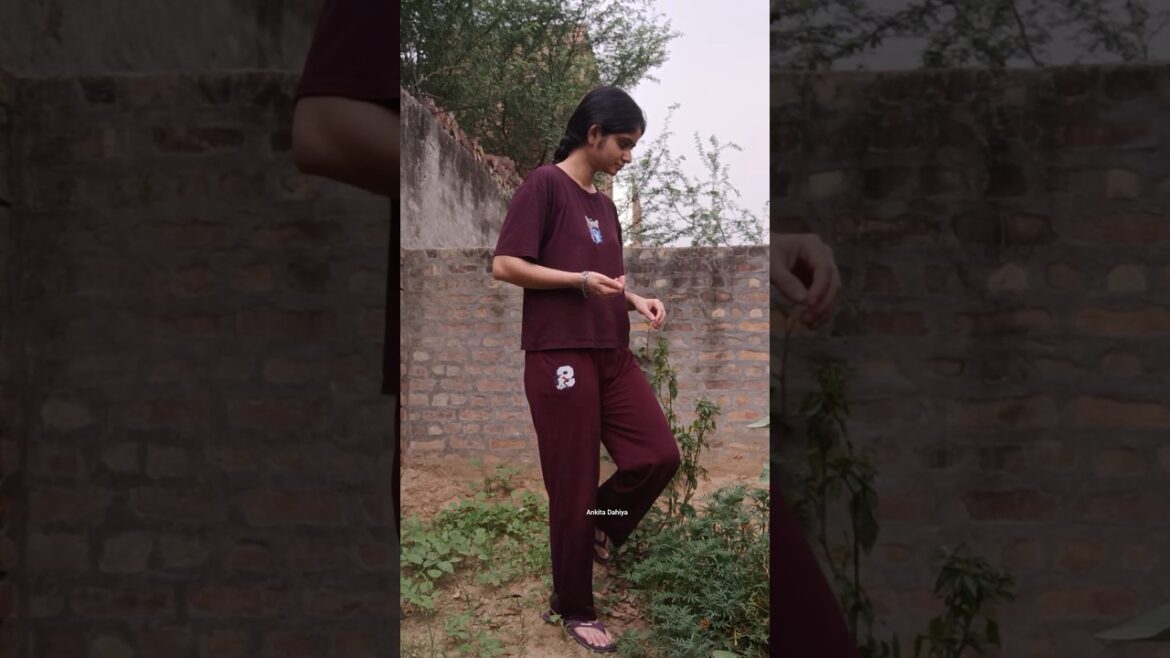 Kitchen Garden 🏡 #ankitadahiya Kitchen Garden 🏡 #ankitadahiya
