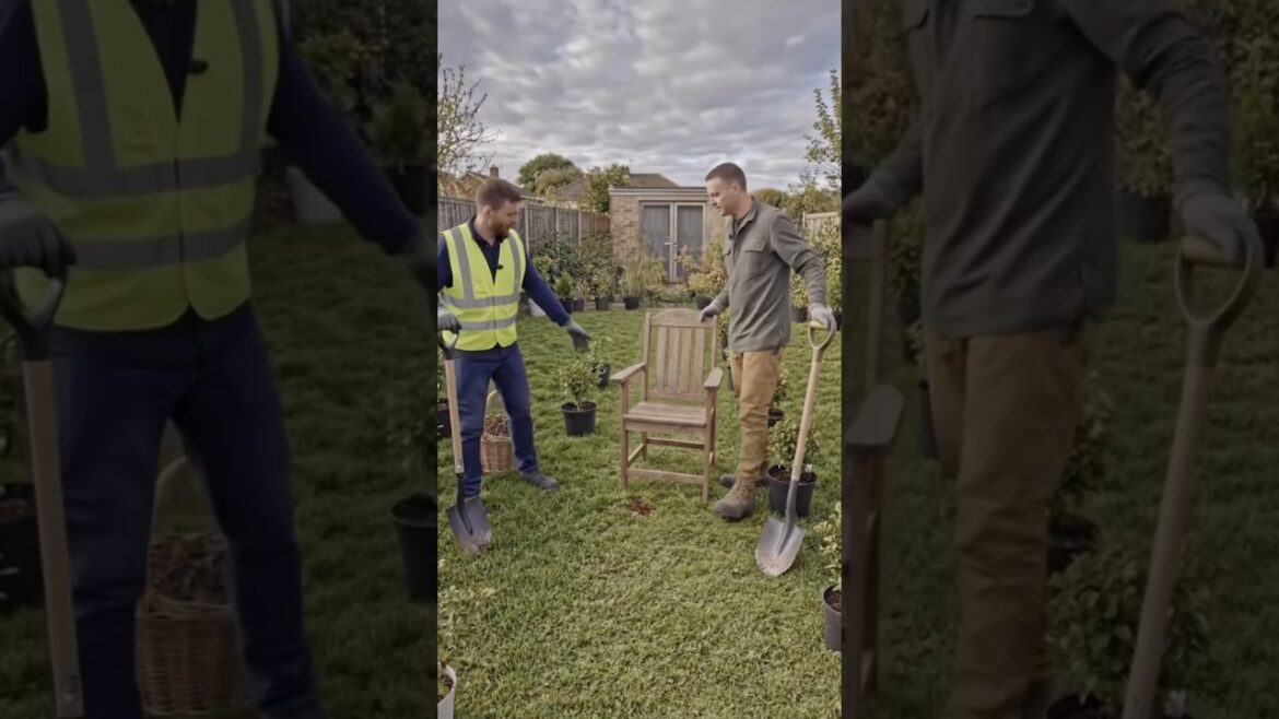 #shorts #viral #trending #backyard #garden #landscape #transformation #beforeafter #home #design