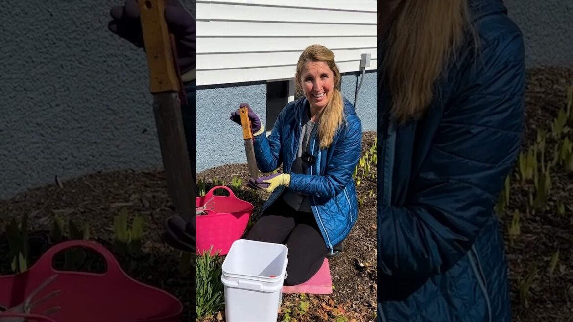 STOP Wasting Money on Garden Tools: Gardening Tools I Can't Live Without!