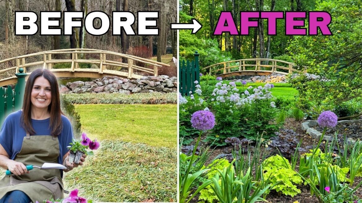 Perennial Garden Design For Continuous Color (My Garden Before & After)