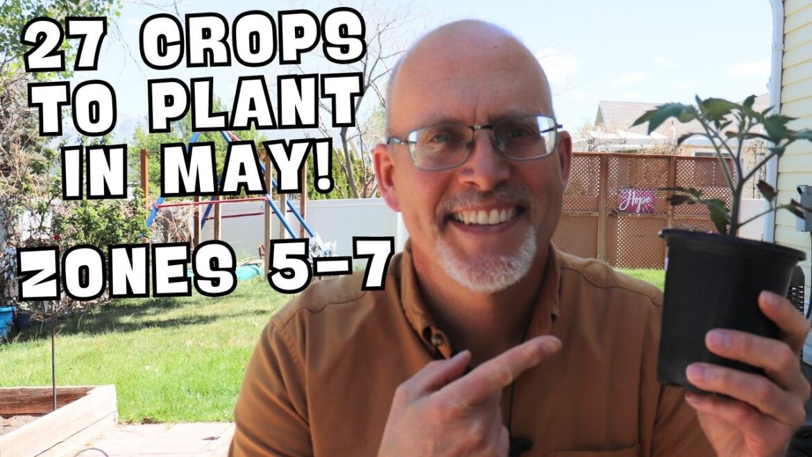 What to Plant in May – Zones 5, 6 & 7 Vegetable Garden Planting Guide What to Plant in May – Zones 5, 6 & 7 Vegetable Garden Planting Guide