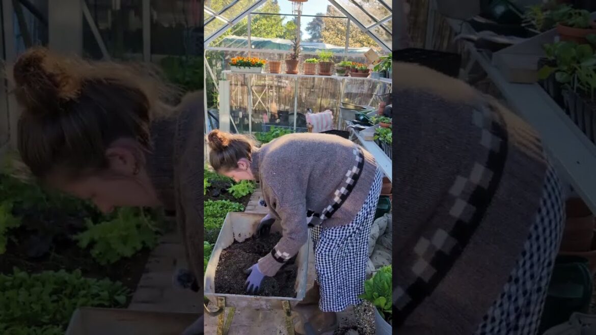 Lets call this part 2 of giant carrot chaos So Ive cut the tubes square drainpipes and next Lets call this part 2 of giant carrot chaos So Ive cut the tubes square drainpipes and next