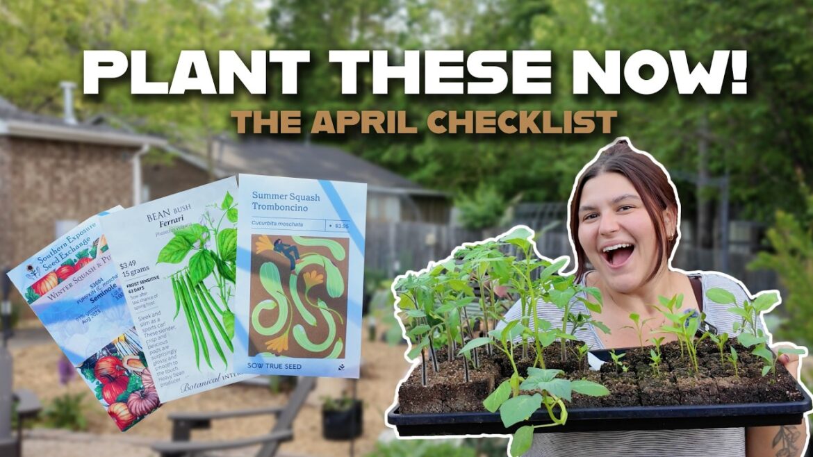 April Planting Guide | What I’m Growing in the Vegetable Garden This Month! April Planting Guide | What I'm Growing in the Vegetable Garden This Month!