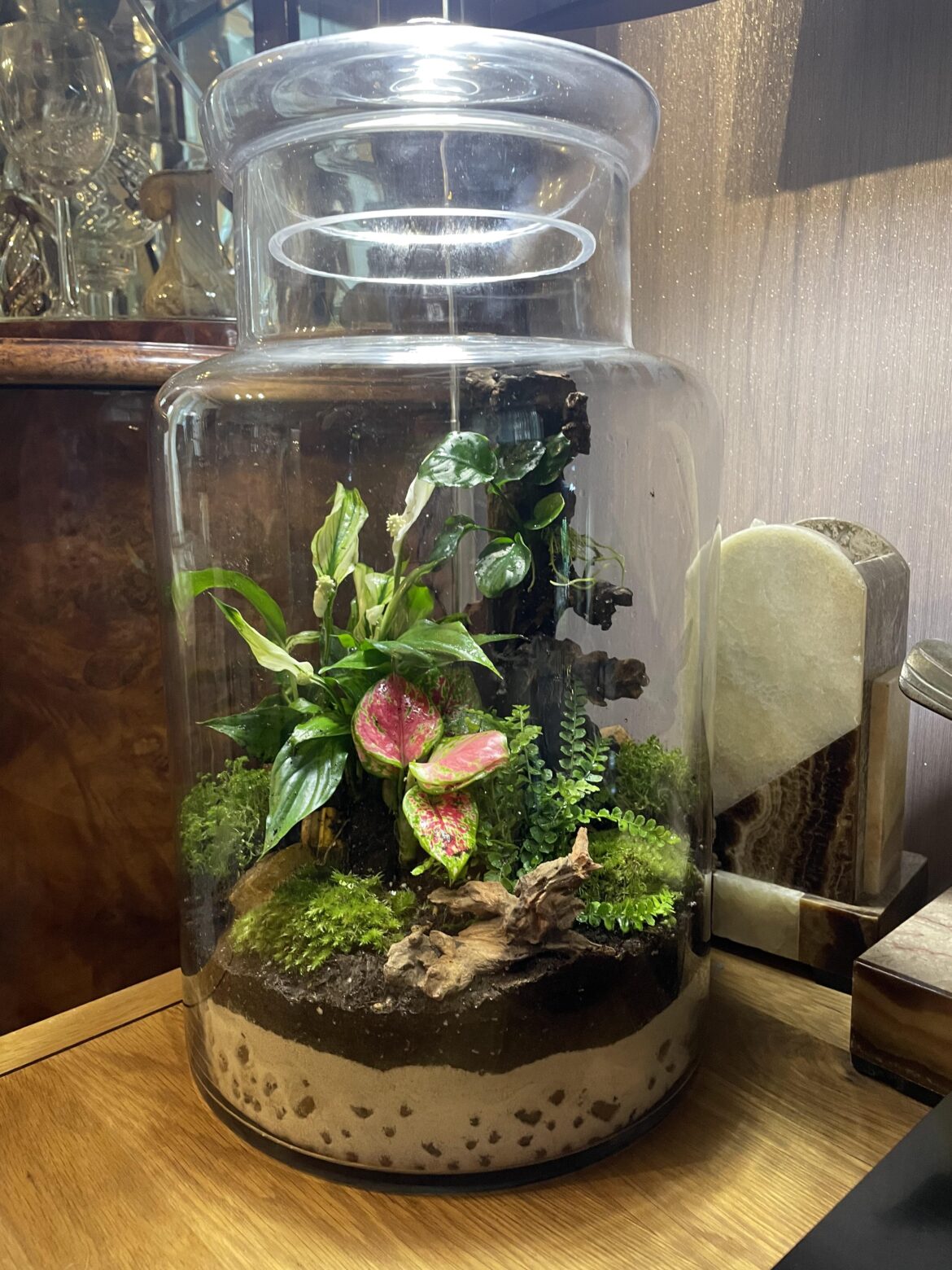 I am enjoying this hobby - here is my second terrarium
