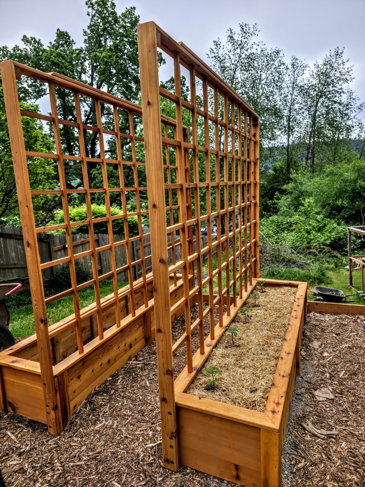 Will these trellis be strong enough to support my tomatoes