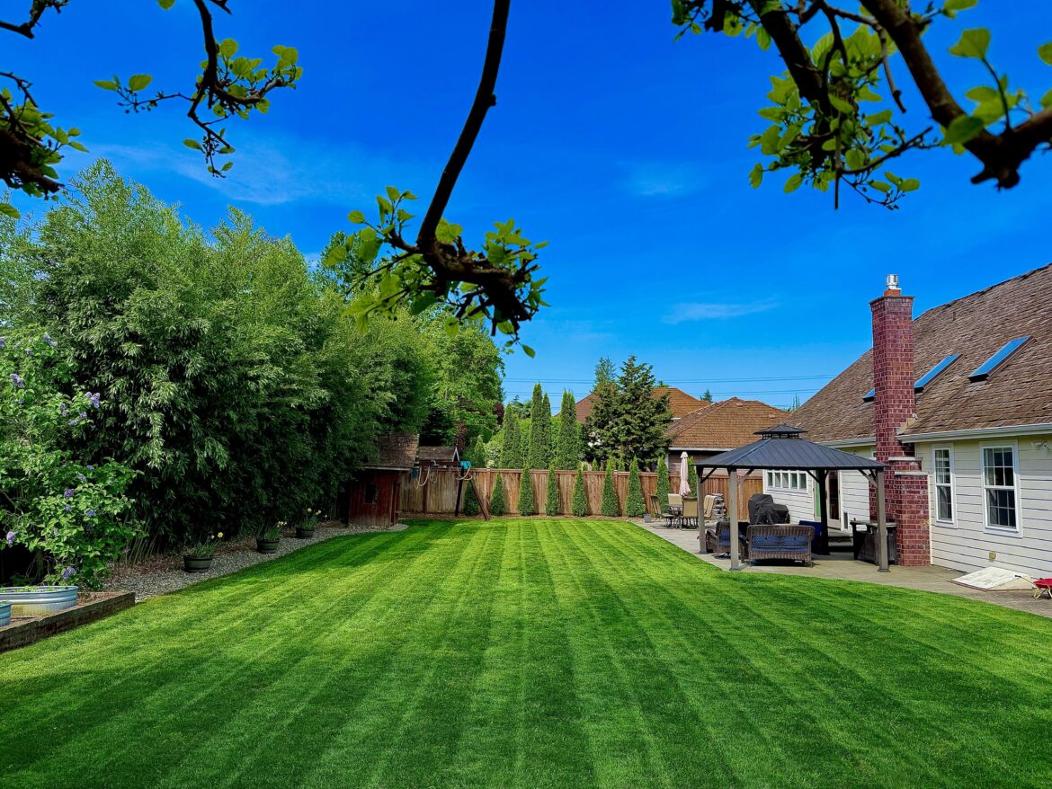After years of work, I’m finally getting this lawn care thing down