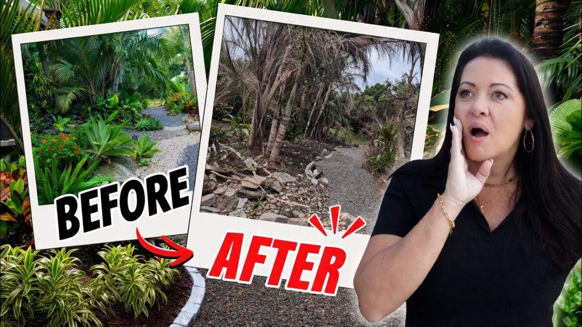 MY GARDEN is CHANGING…Here’s Everything New (2026) MY GARDEN is CHANGING…Here’s Everything New (2026)