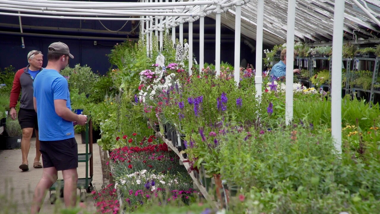 customers at City Floral.jpg