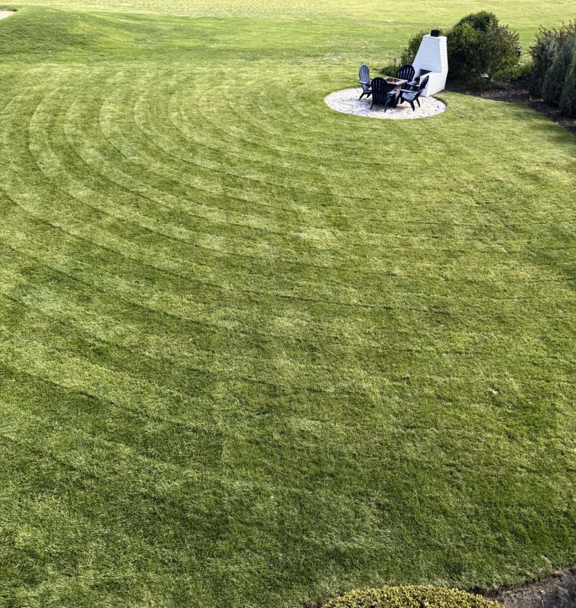 Crop Circles